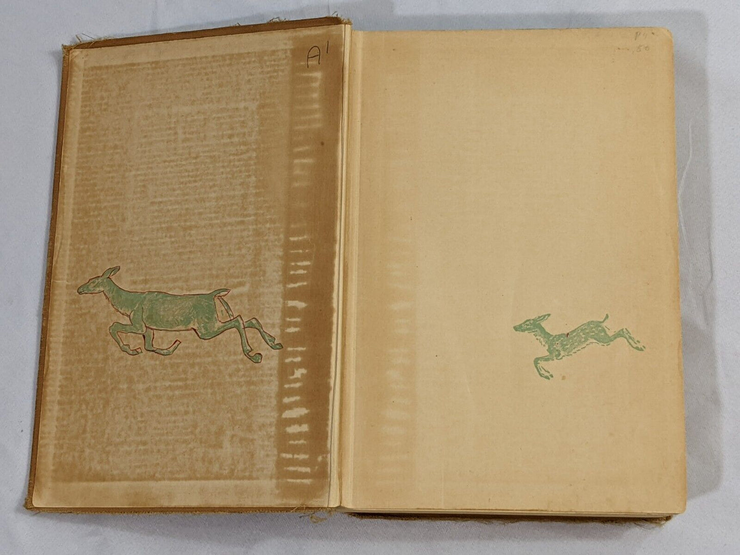 Bambi by Felix Salten Vintage Book Grosset & Dunlap 1929 by Simon & Schuster Inc