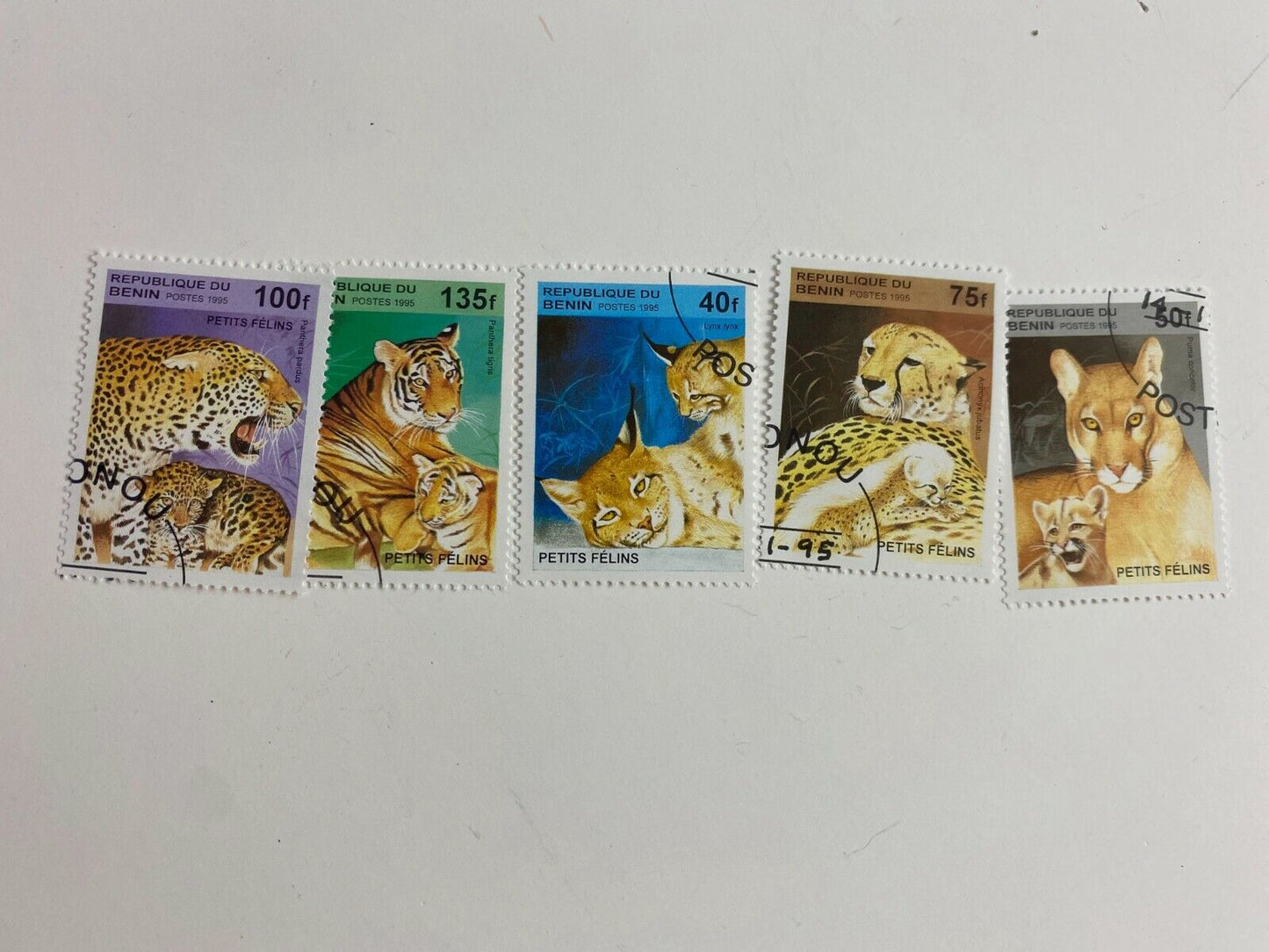 Benin 1995 Set of 5 Wild Cats Collectible Postage Stamps