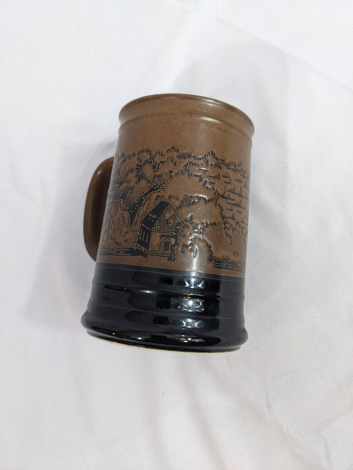 Ausable Chasm NY The Earth Remembers Beer Mug Brown Smiles Stein