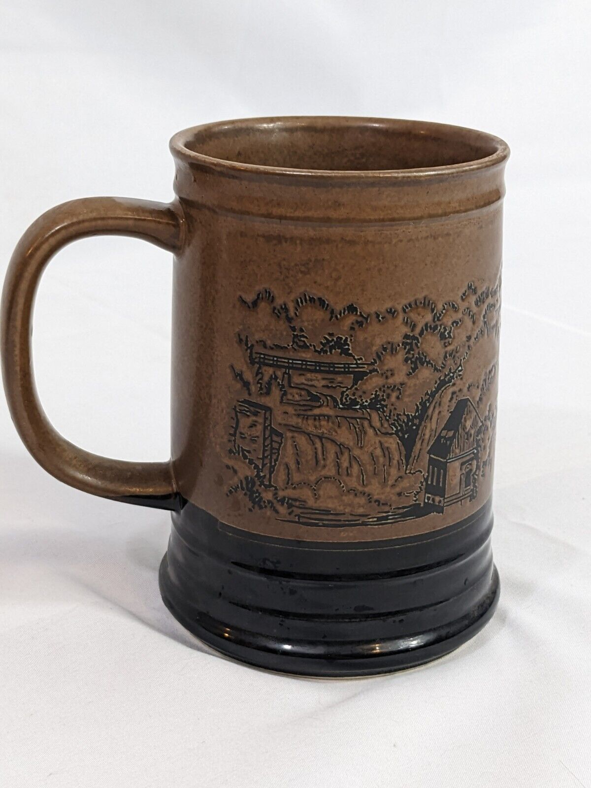 Ausable Chasm NY The Earth Remembers Beer Mug Brown Smiles Stein