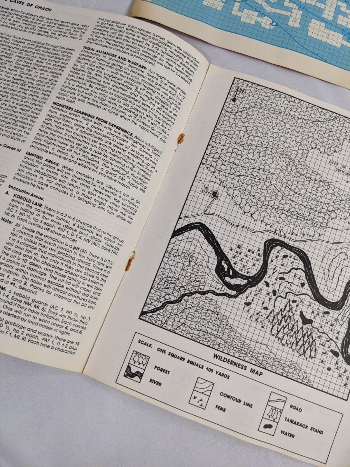 Dungeon Module B2 The Keep on the Borderlands for Dungeons & Dragons Basic Set