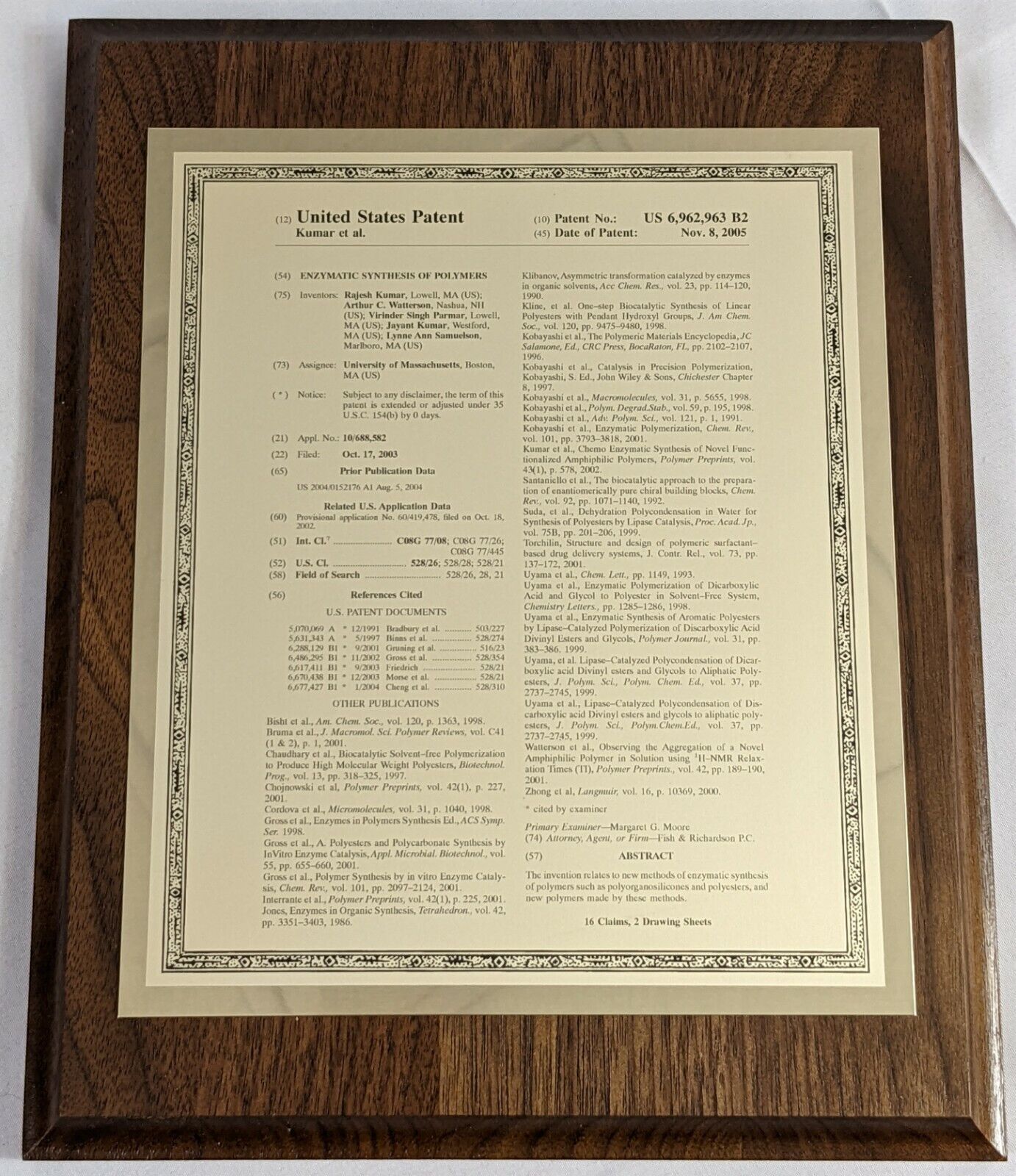 Framed Enzymatic Synthesis of Polymers United States Patent Kumar et al