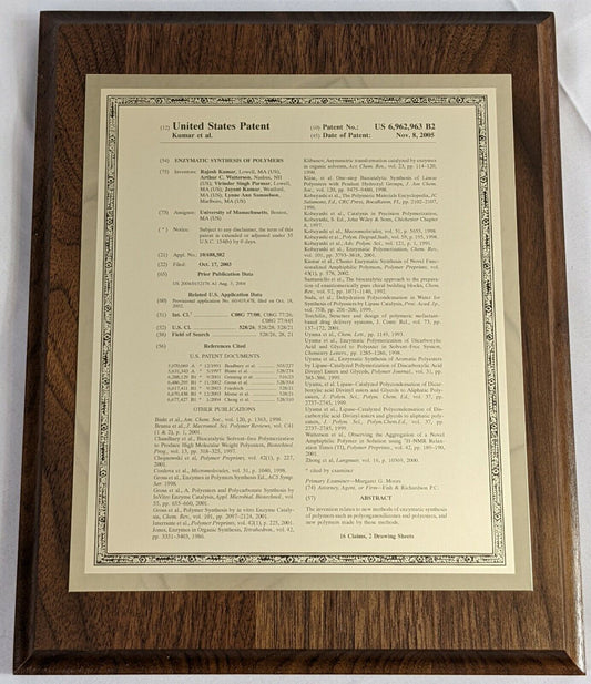 Framed Enzymatic Synthesis of Polymers United States Patent Kumar et al