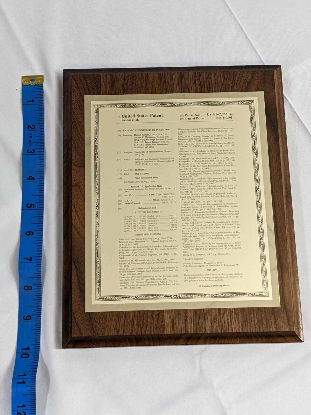 Framed Enzymatic Synthesis of Polymers United States Patent Kumar et al