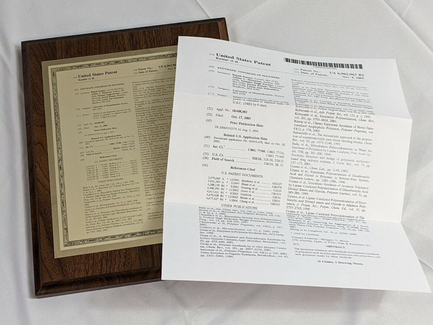 Framed Enzymatic Synthesis of Polymers United States Patent Kumar et al