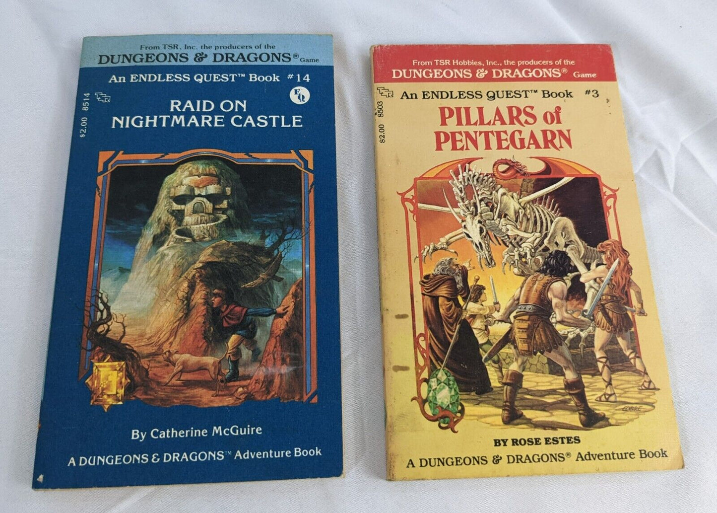 Dungeons & Dragons Adventure Book Endless Quest Book #14 & #3 Vintage! Lot of 2