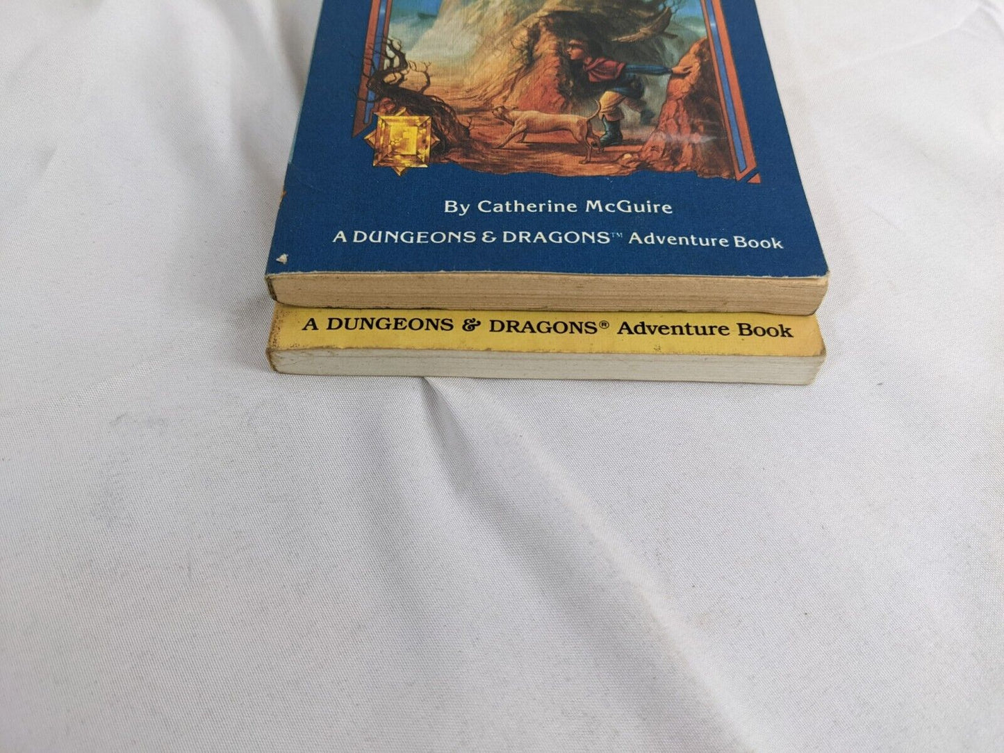 Dungeons & Dragons Adventure Book Endless Quest Book #14 & #3 Vintage! Lot of 2