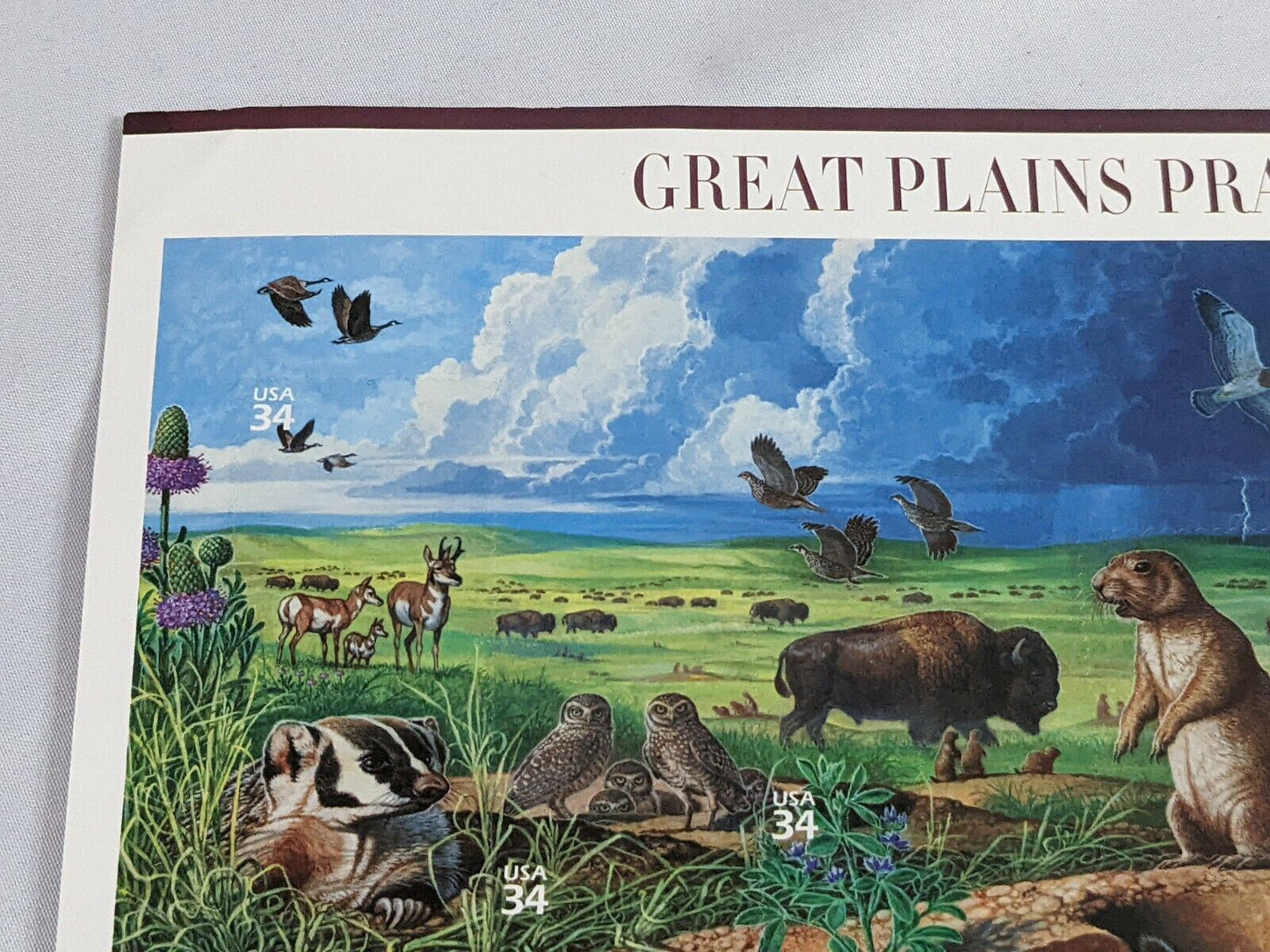 Great Plains Prairie Full Pane Postage Stamps Nature of America 34C USA